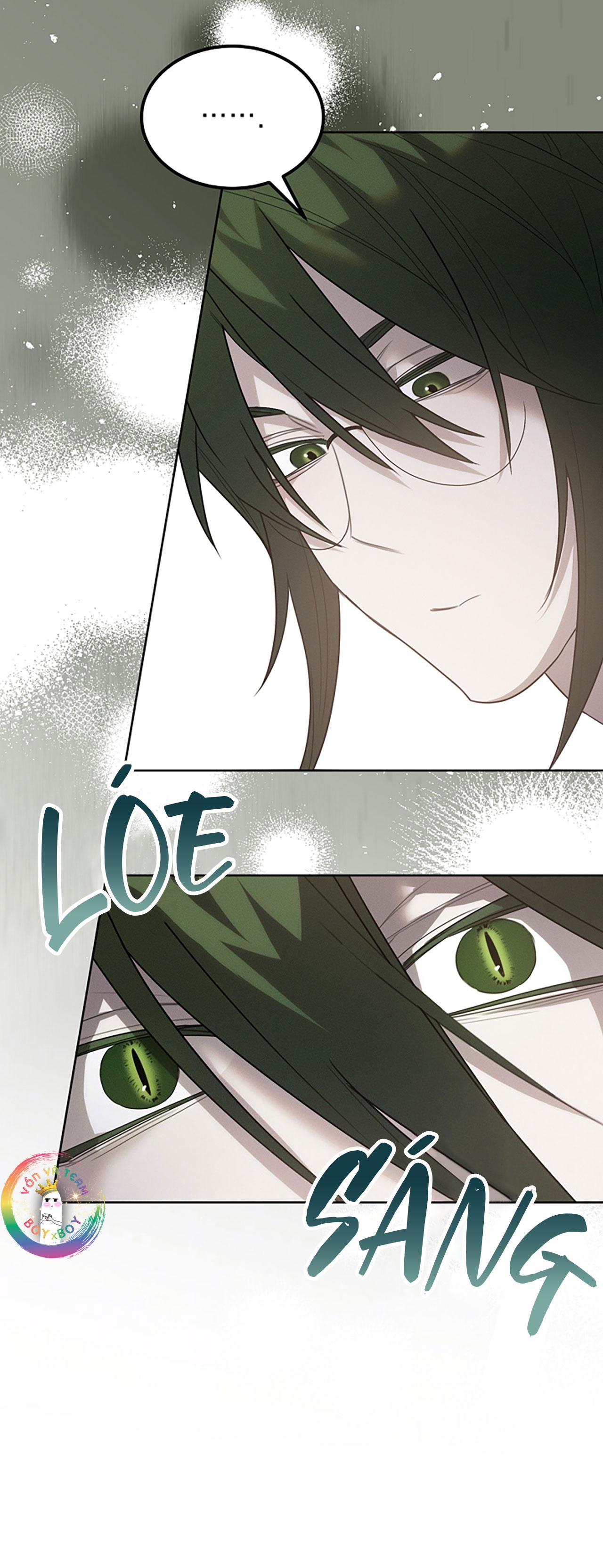 Chapter 26