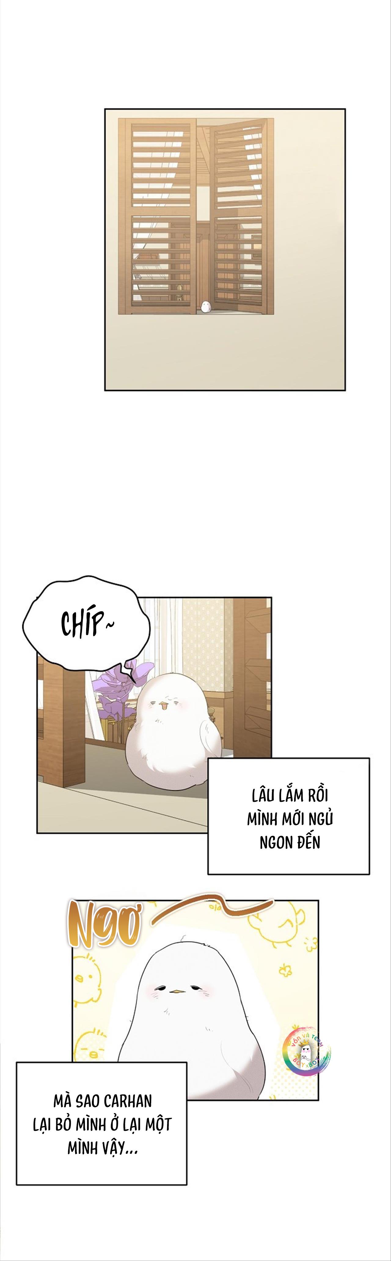 Chapter 12