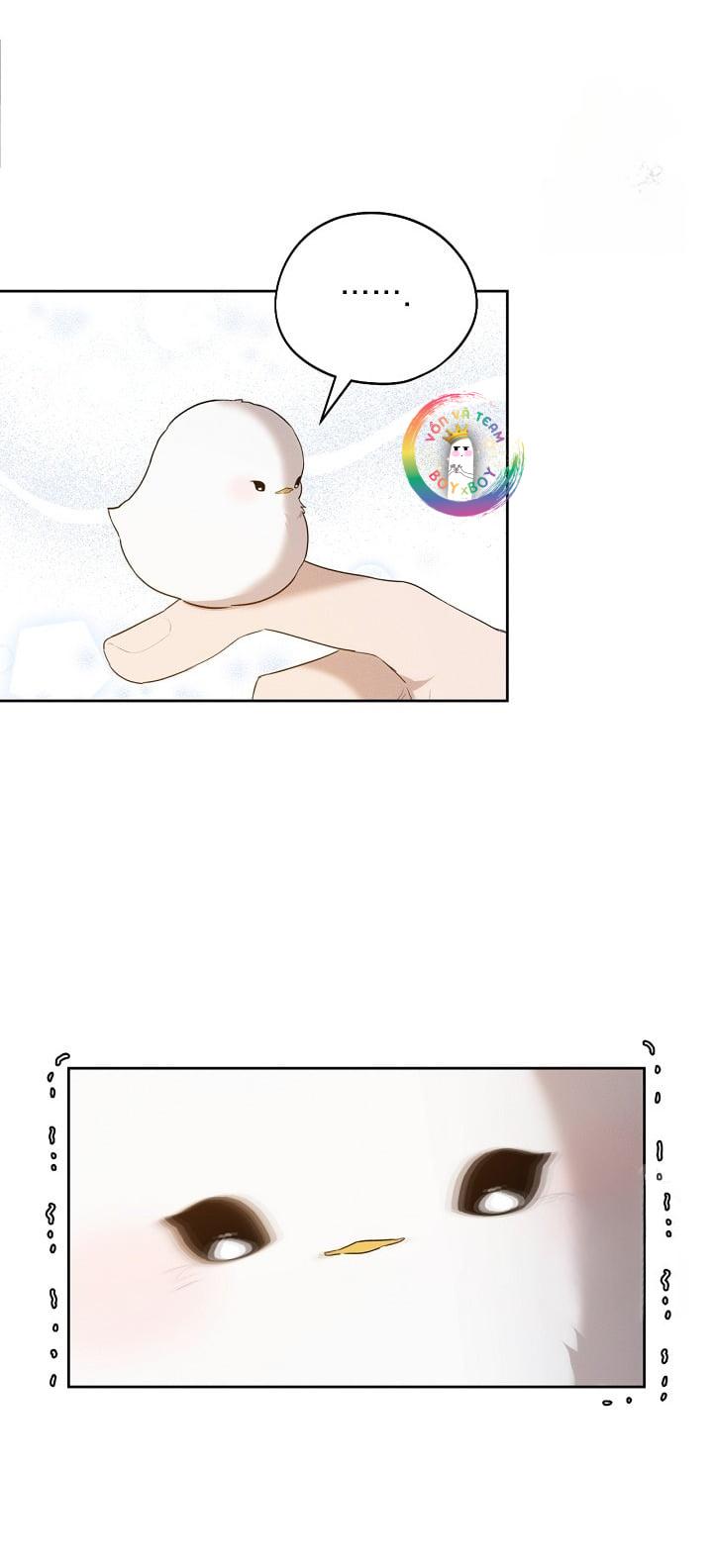 Chapter 10