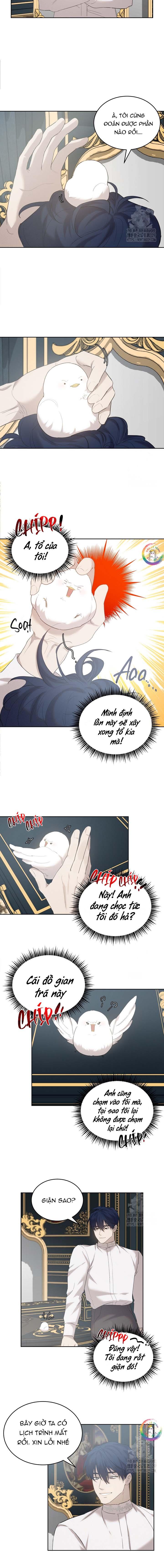 Chapter 8