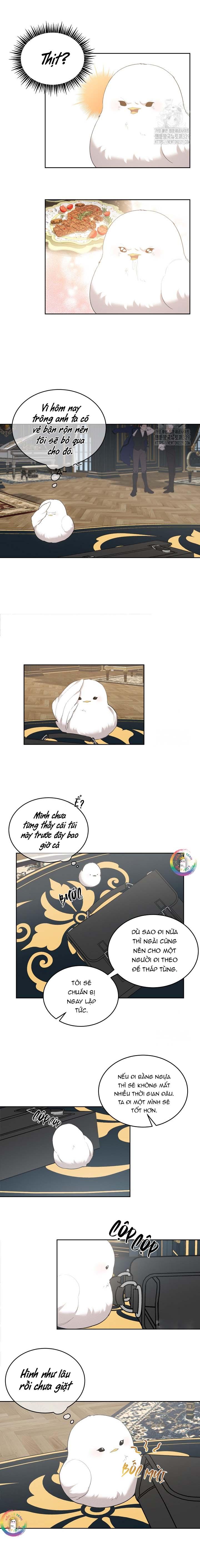 Chapter 8