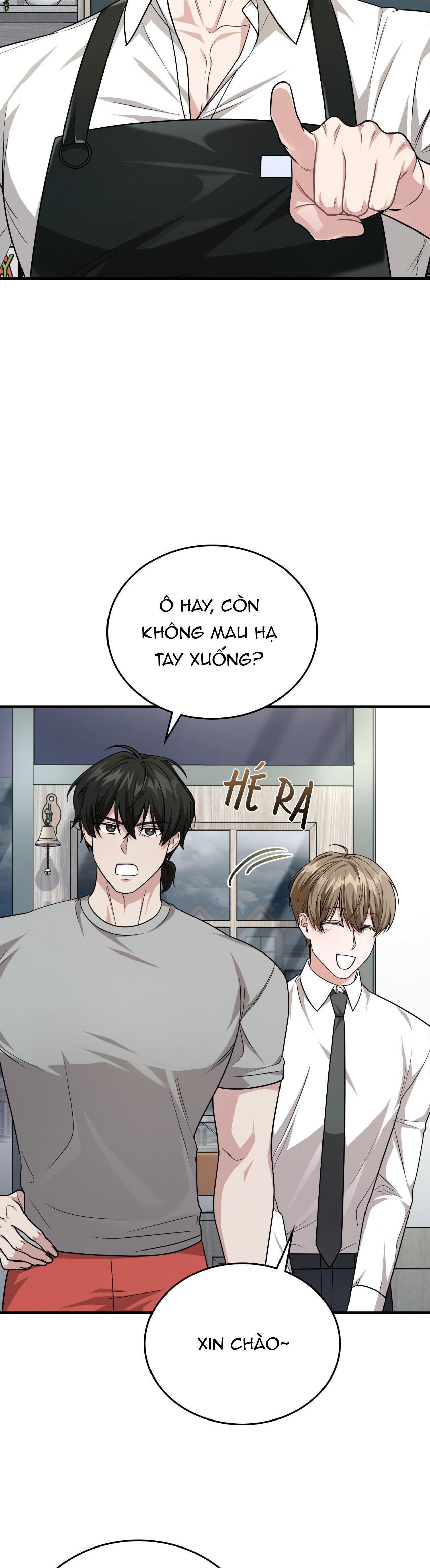 Chapter 33
