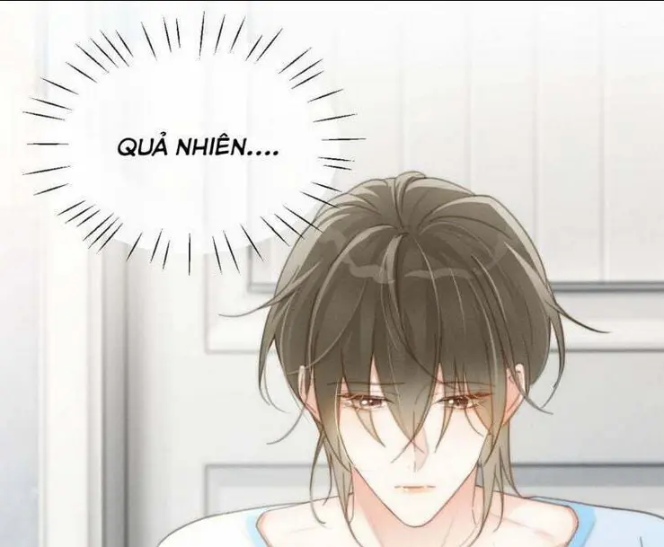 Chapter 19