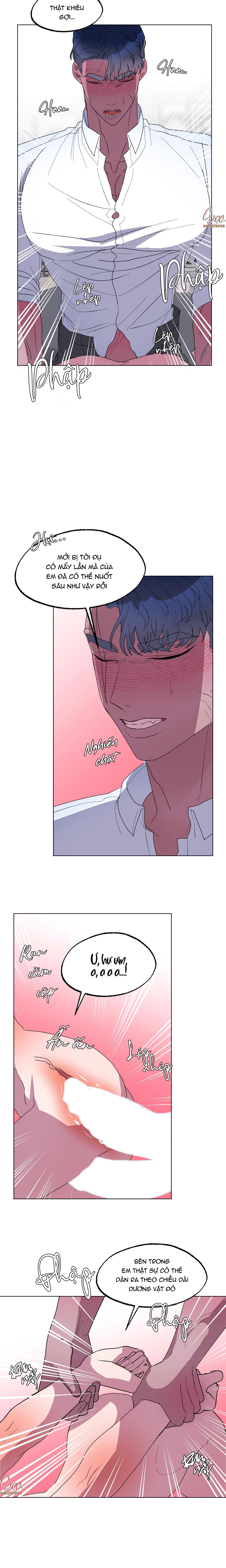 Chapter 16