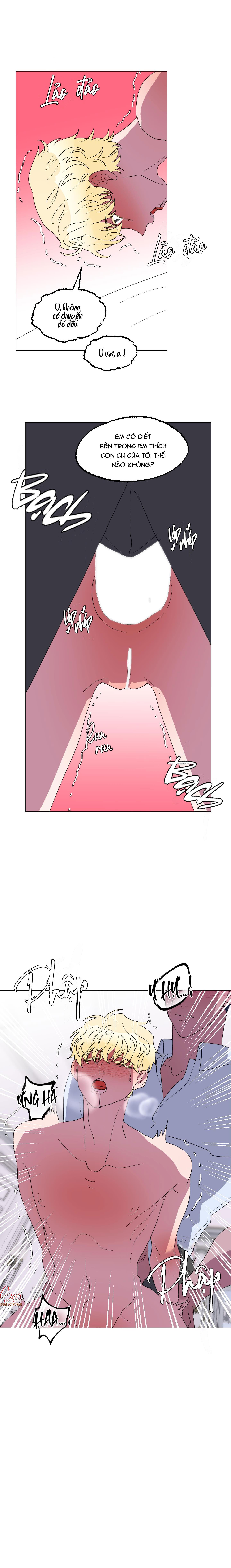 Chapter 16