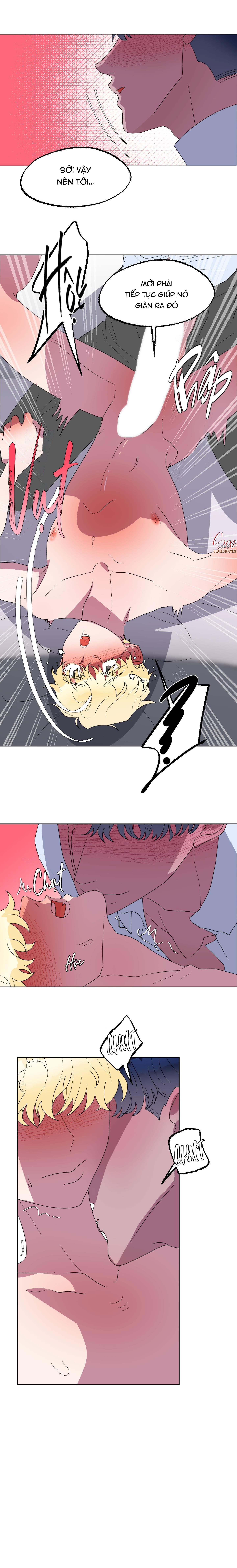 Chapter 16