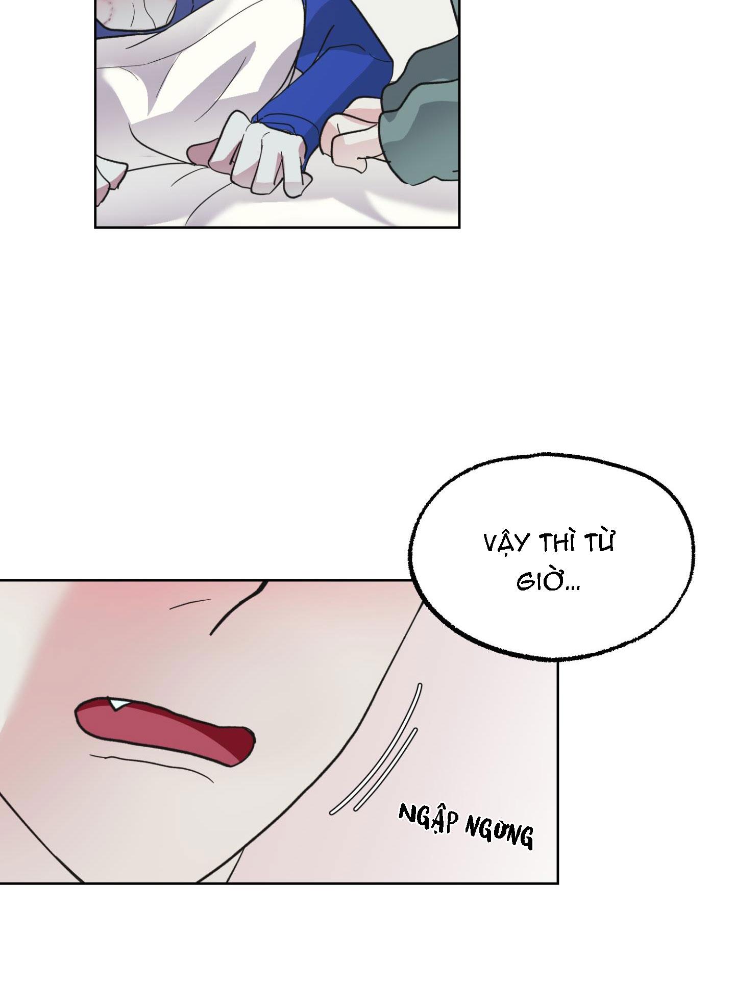 Chapter 31