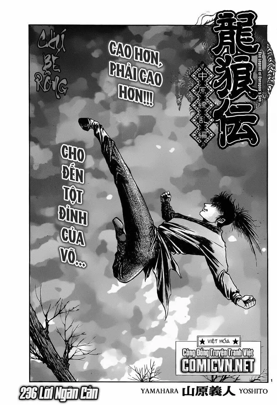 Chapter 236