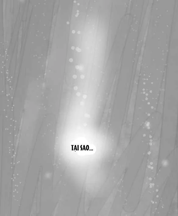 Chapter 11.2