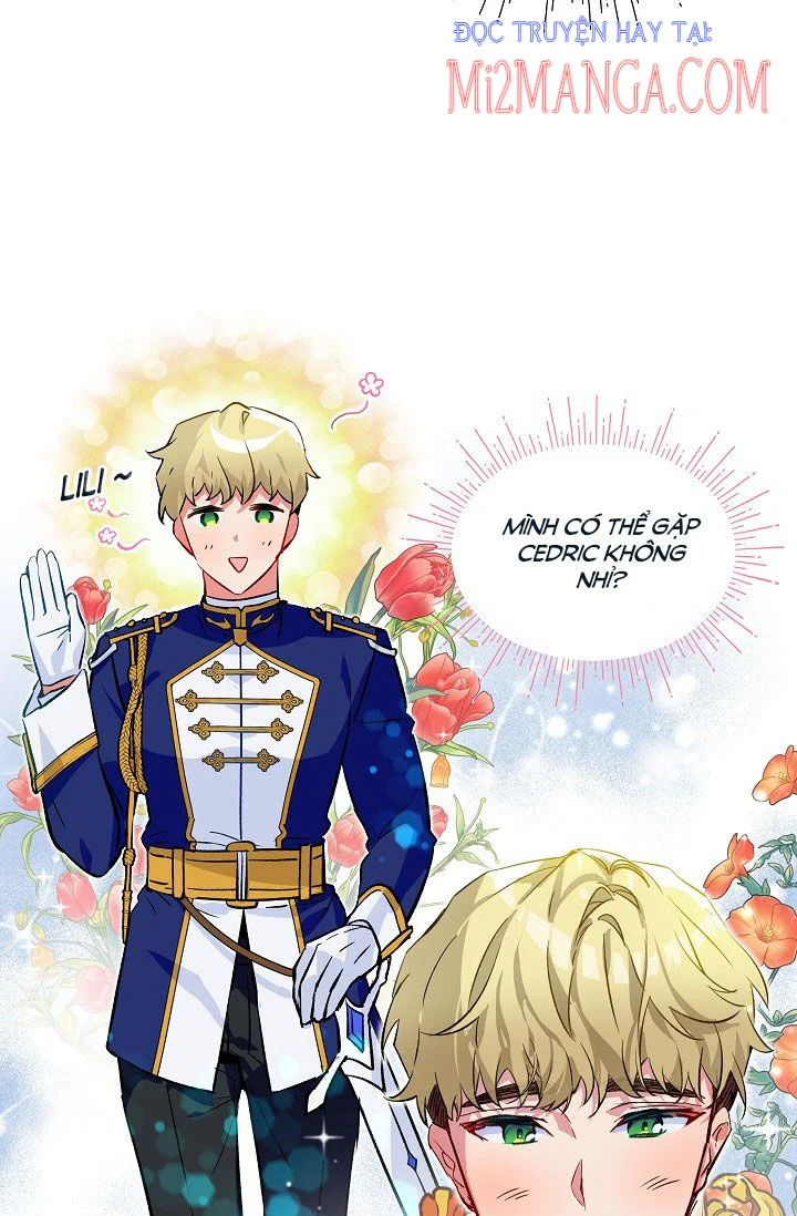 Chapter 17