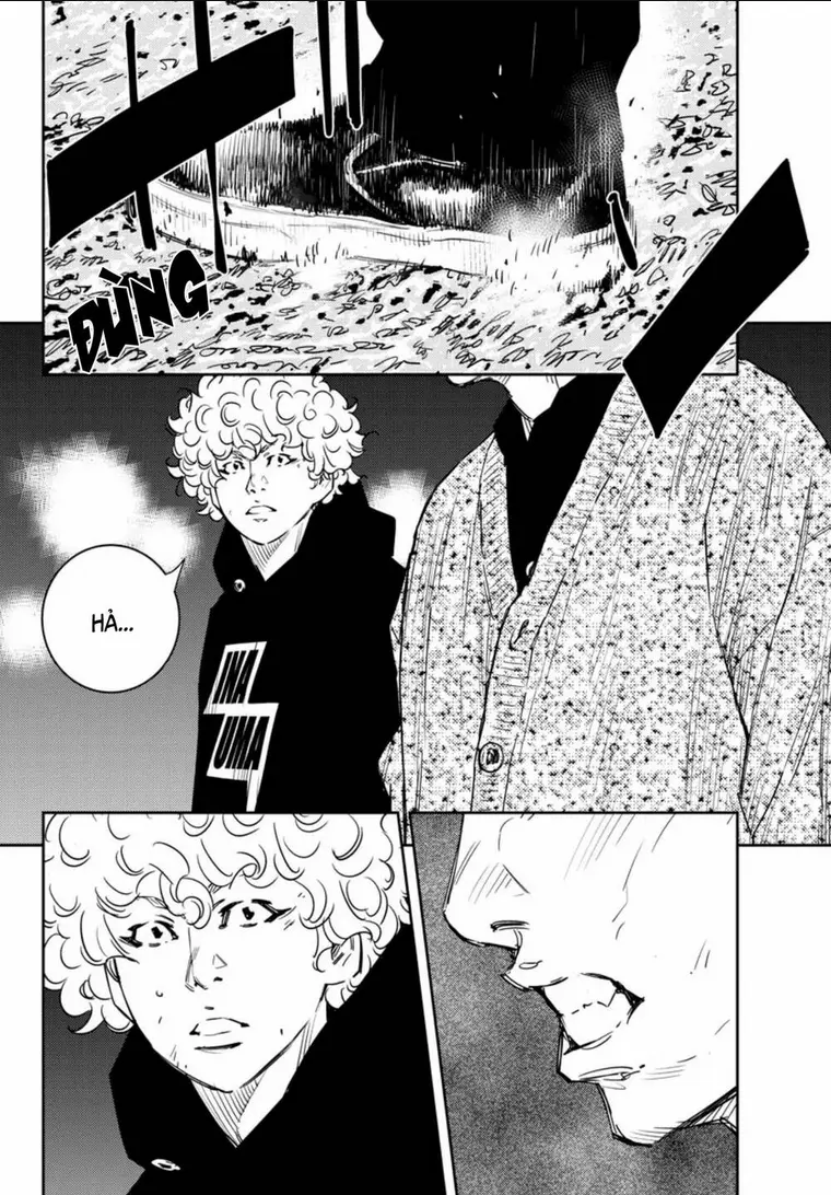 Chapter 31