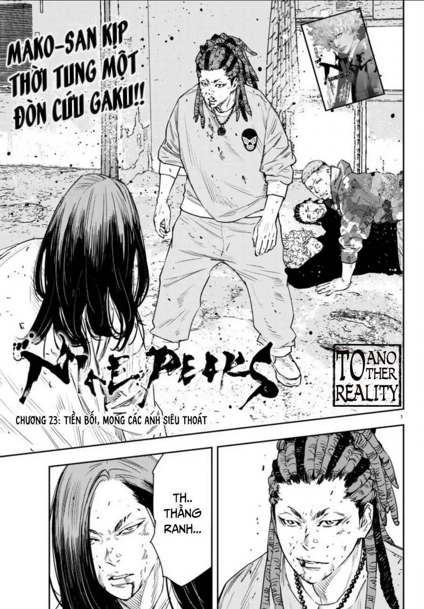 Chapter 23
