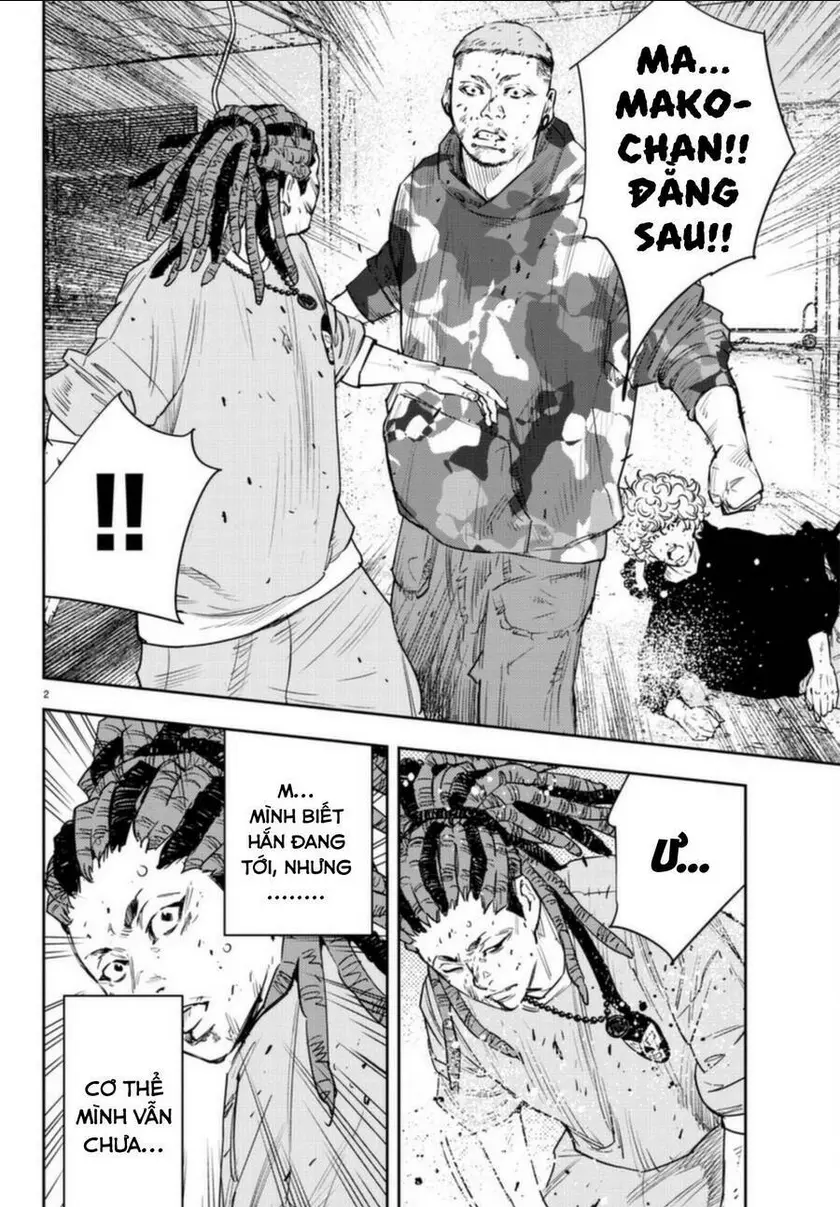 Chapter 23