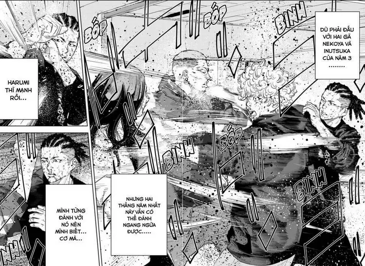Chapter 23