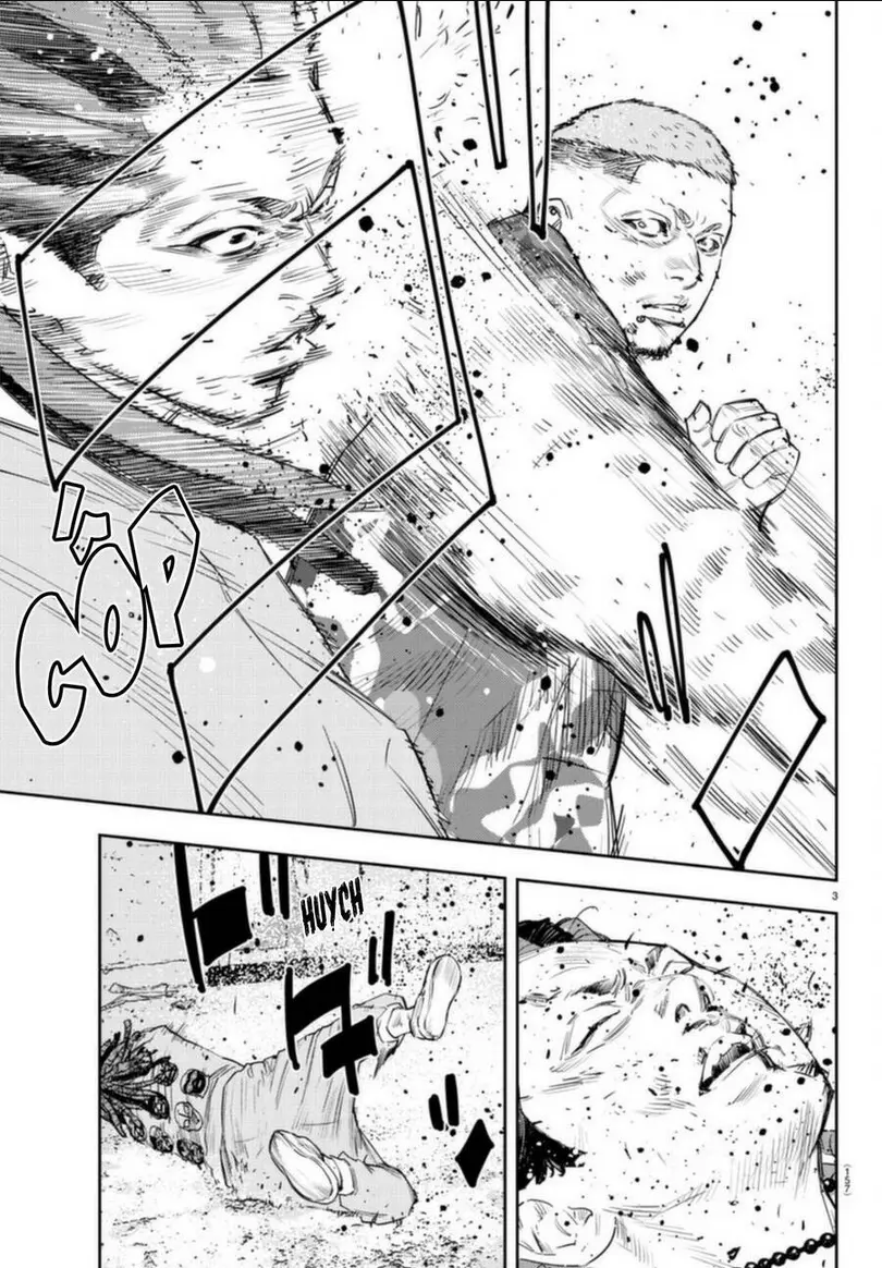 Chapter 23