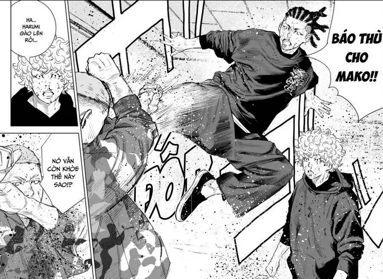 Chapter 23
