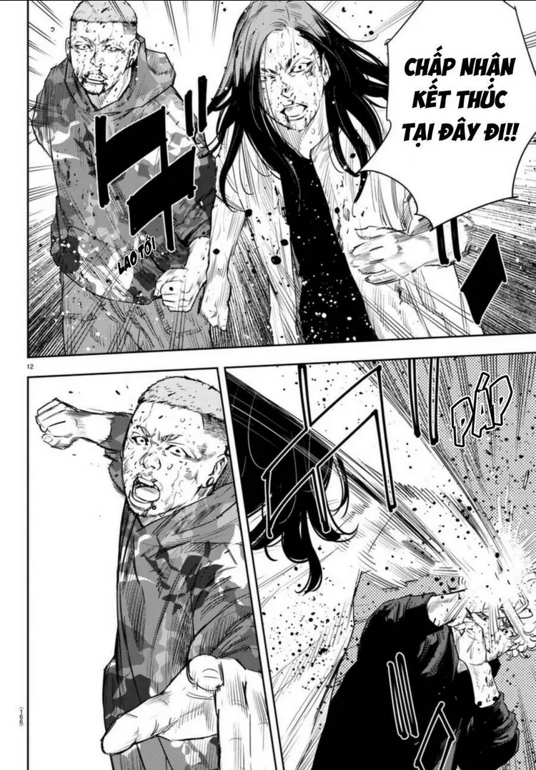 Chapter 23