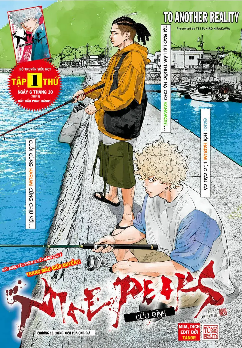 Chapter 13