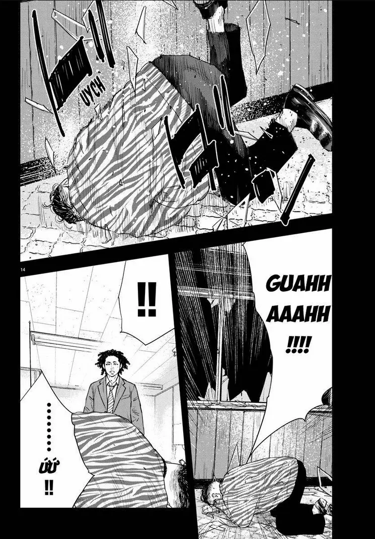 Chapter 13