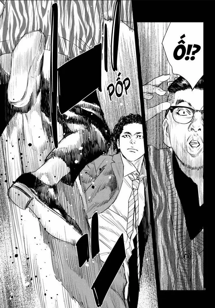 Chapter 13