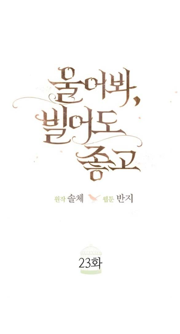 Chapter 23.1