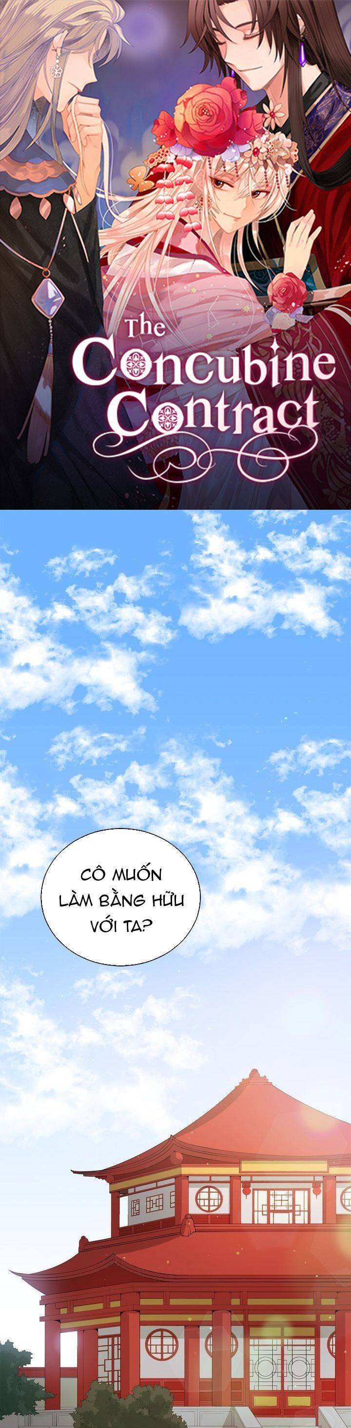 Chapter 62