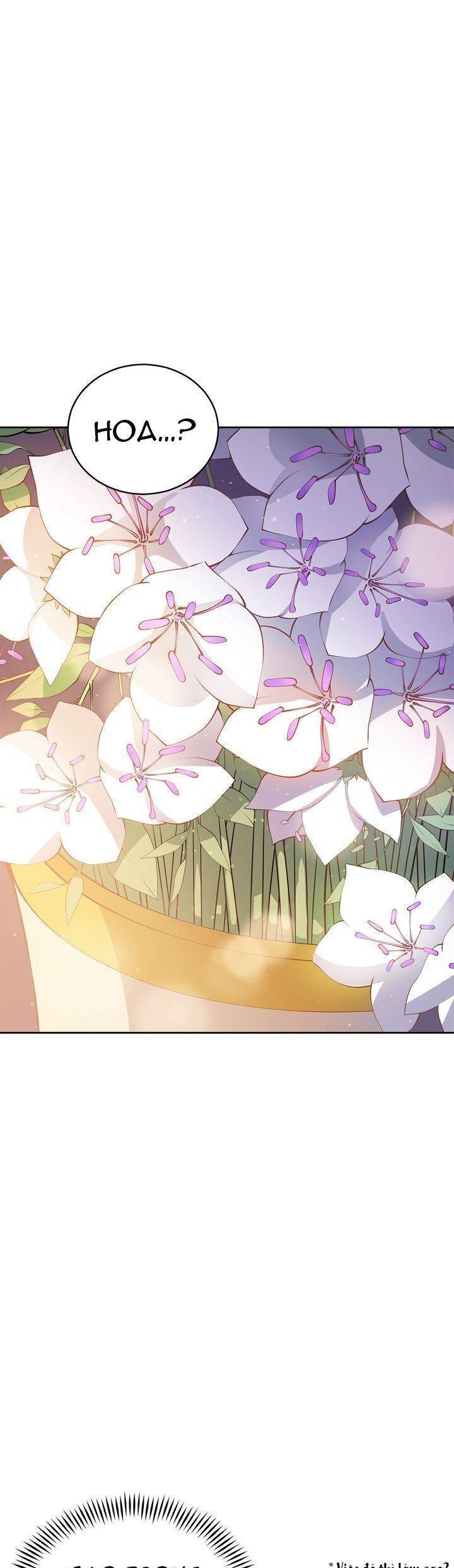 Chapter 62