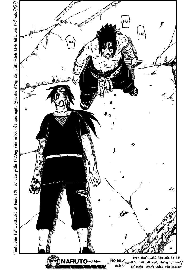 Chapter 393