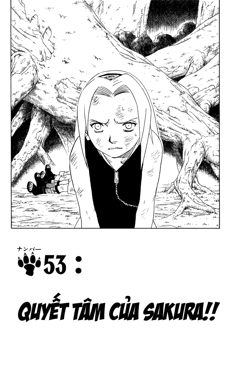 Chapter 53