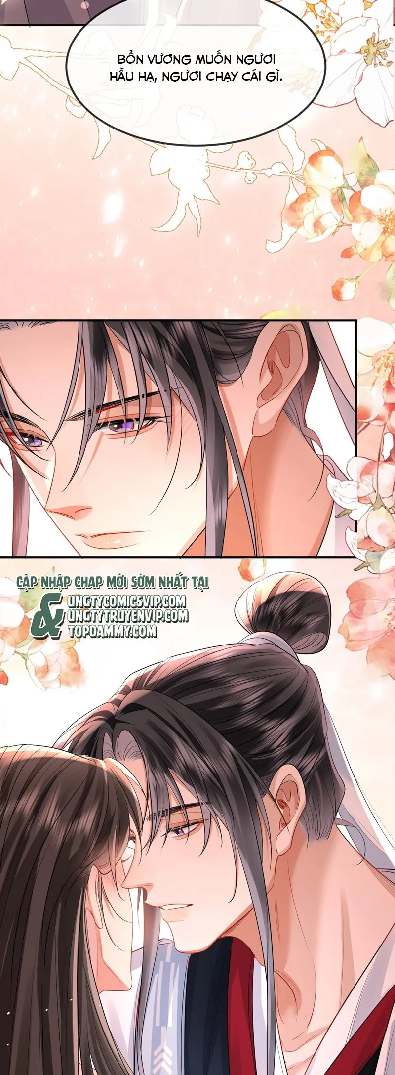 Chapter 43