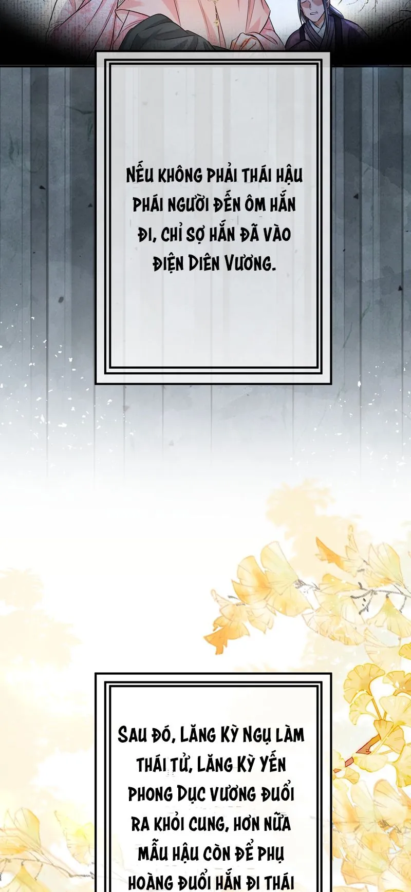 Chapter 12