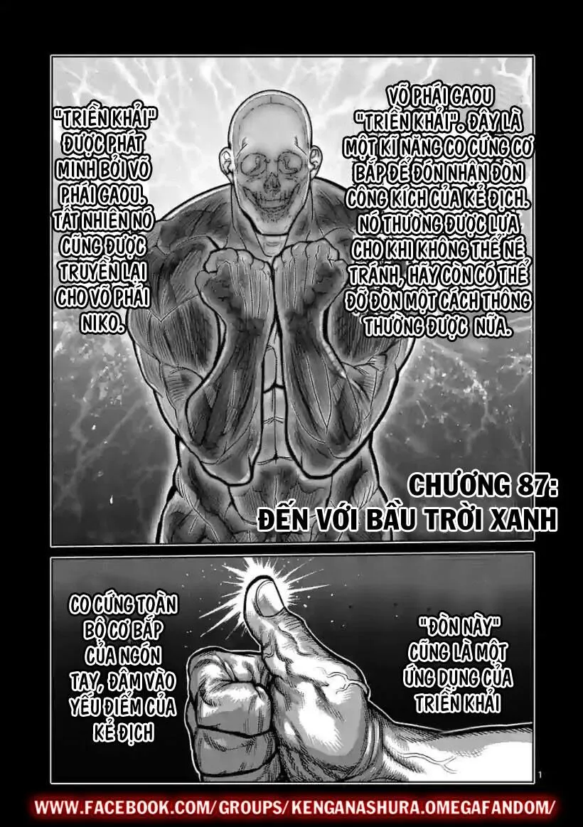 Chapter 87