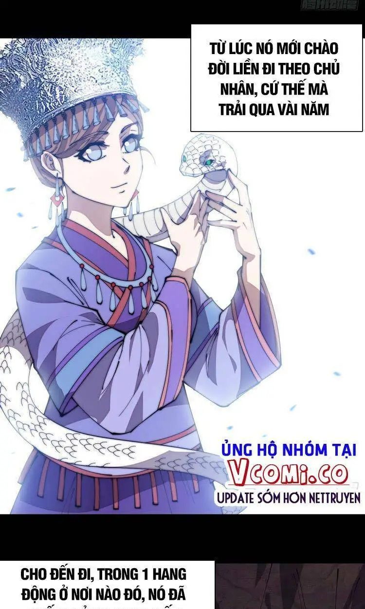 Chapter 278