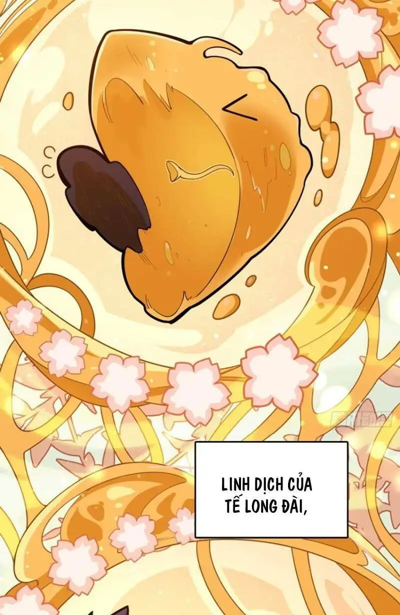 Chapter 857