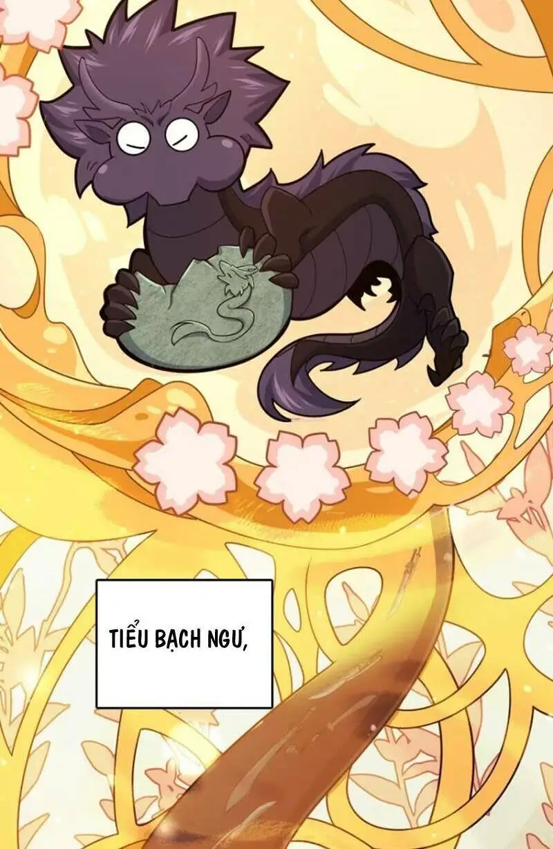 Chapter 857