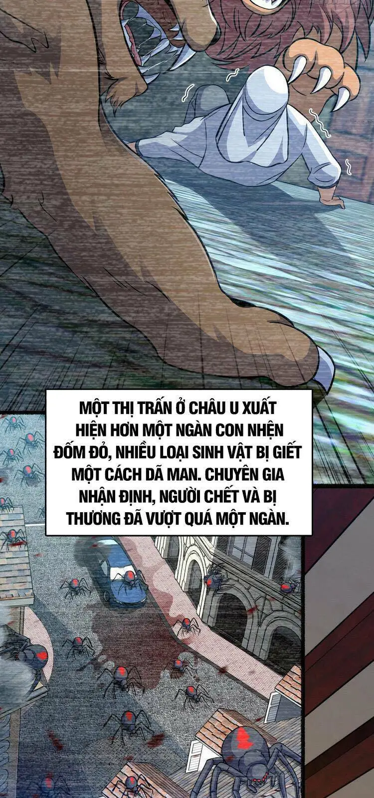 Chapter 388