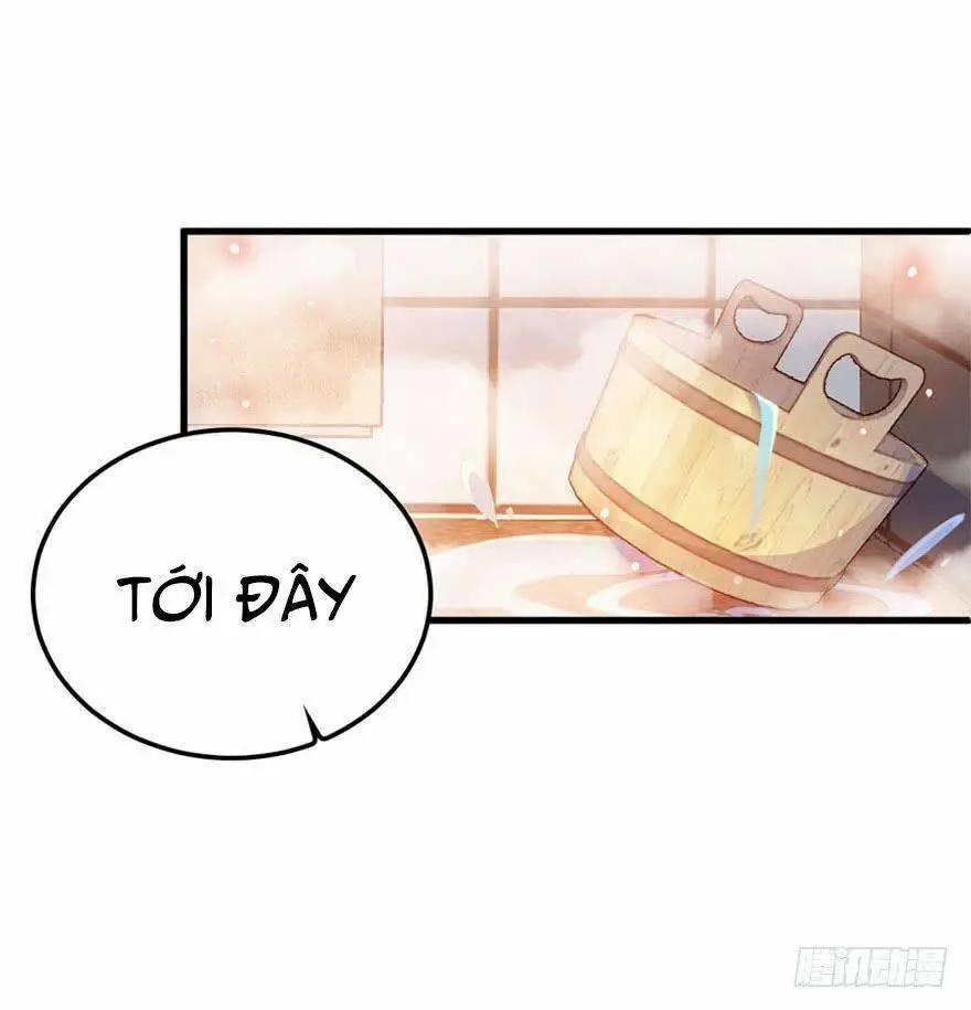 Chapter 3