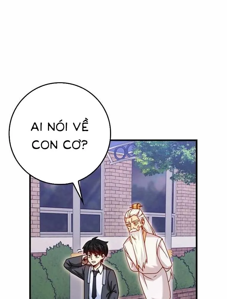 Chapter 33