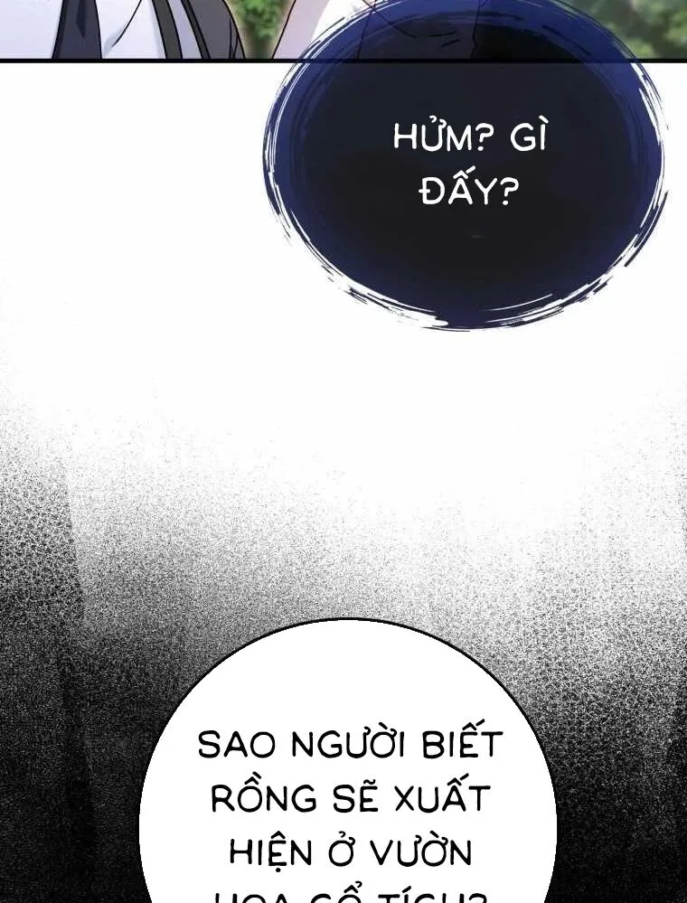 Chapter 33