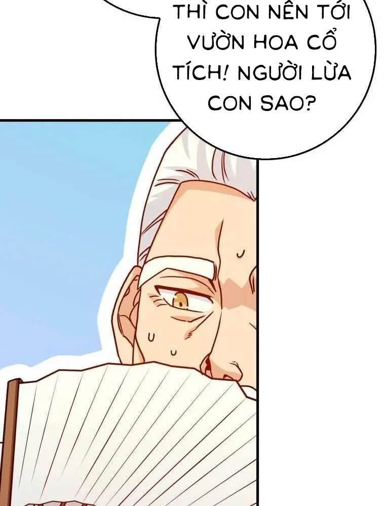 Chapter 33
