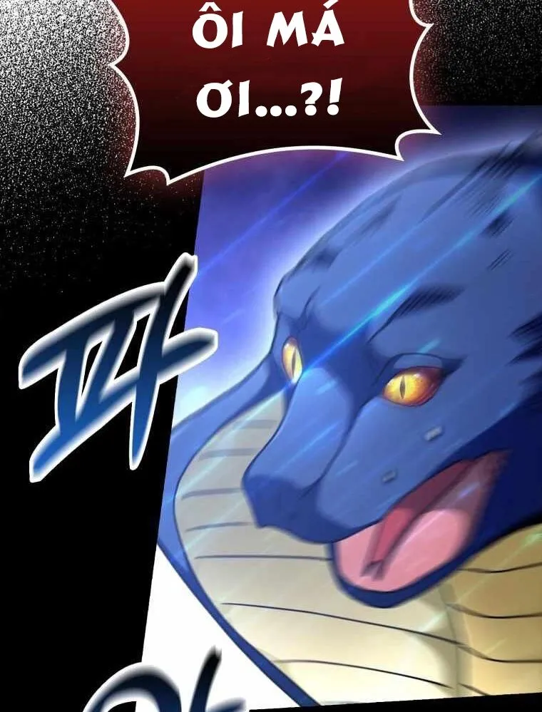 Chapter 33