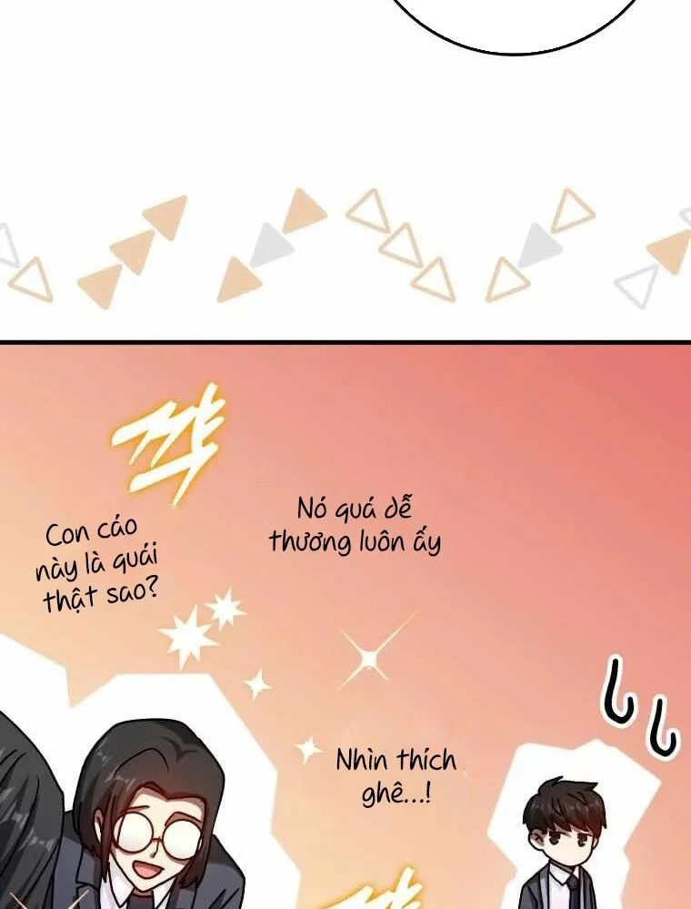 Chapter 33