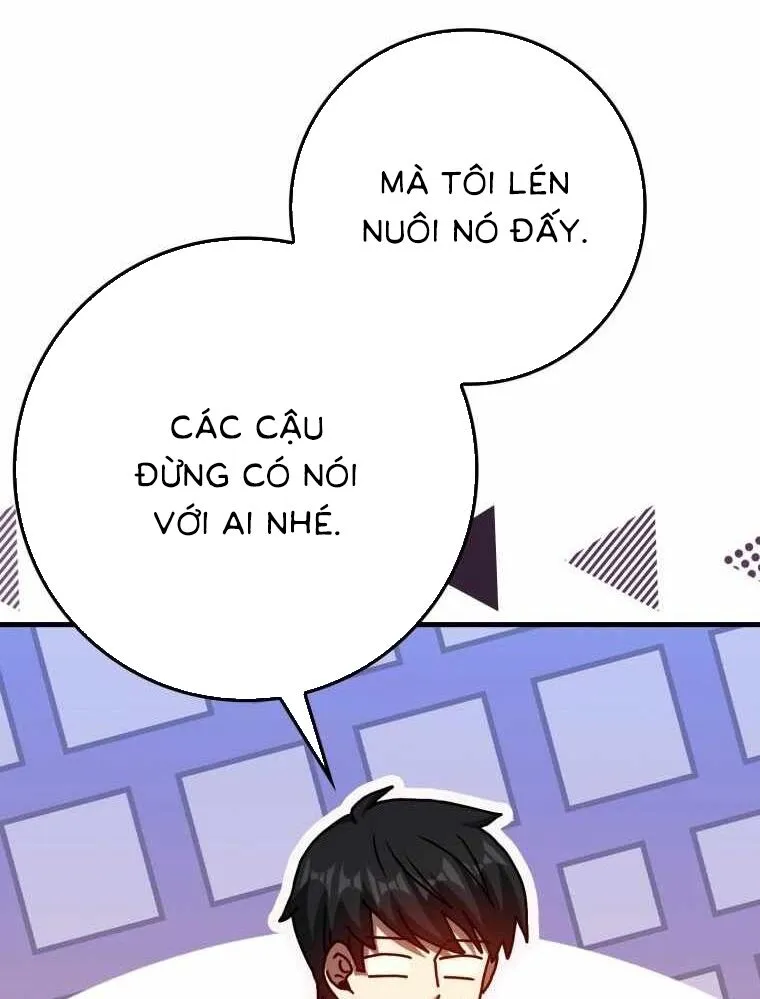 Chapter 33
