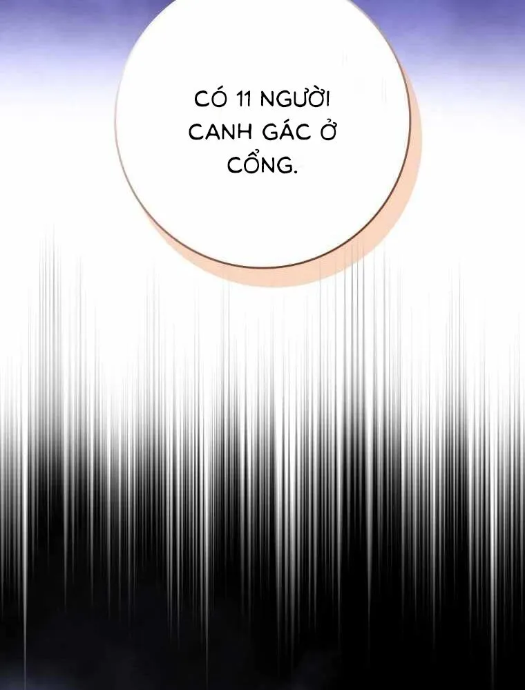 Chapter 33