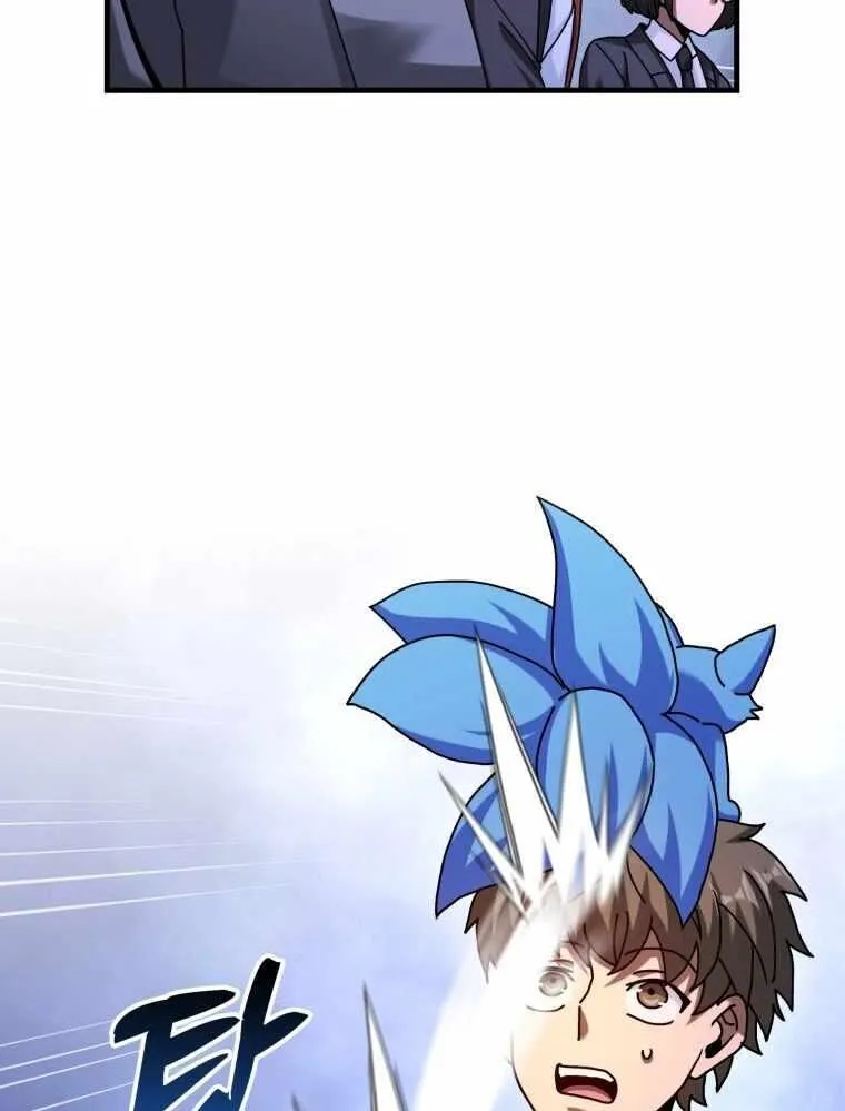 Chapter 33