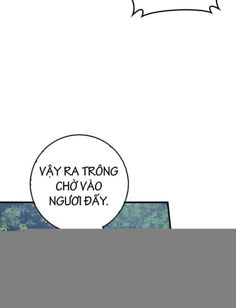 Chapter 25