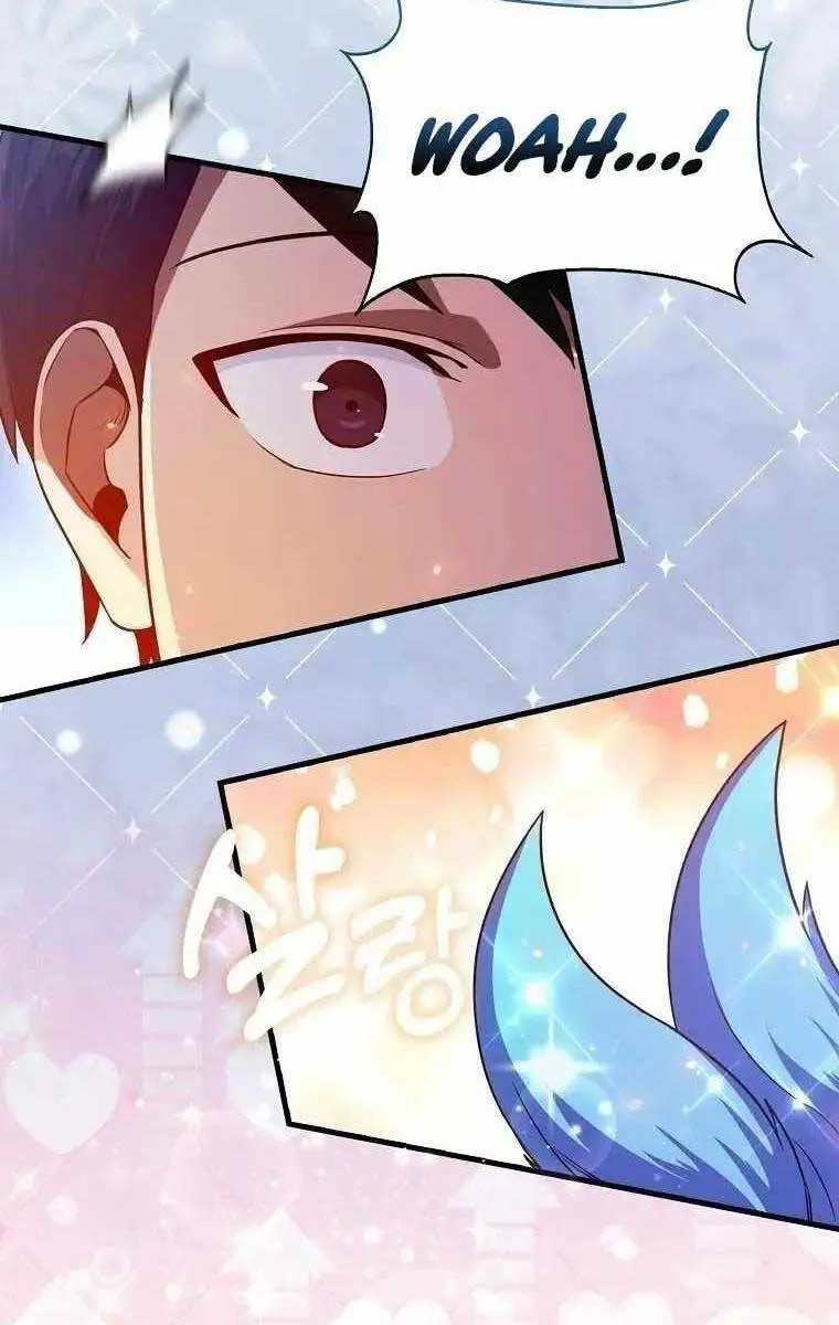 Chapter 12
