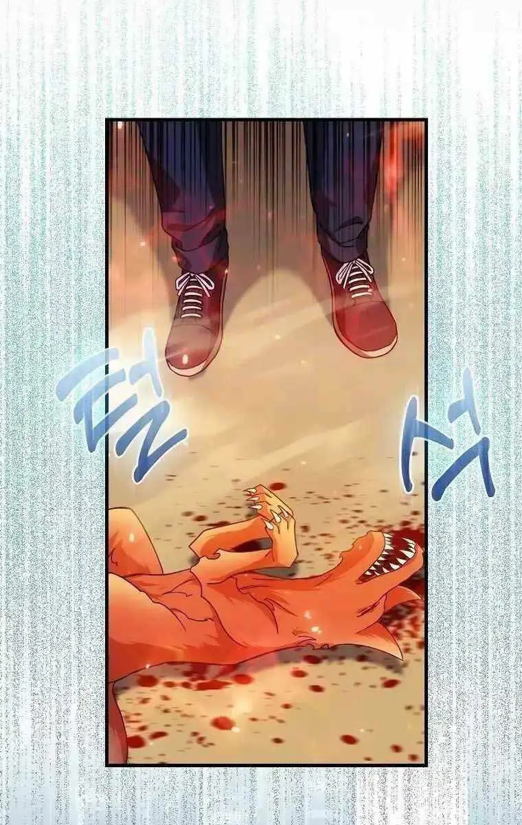 Chapter 12