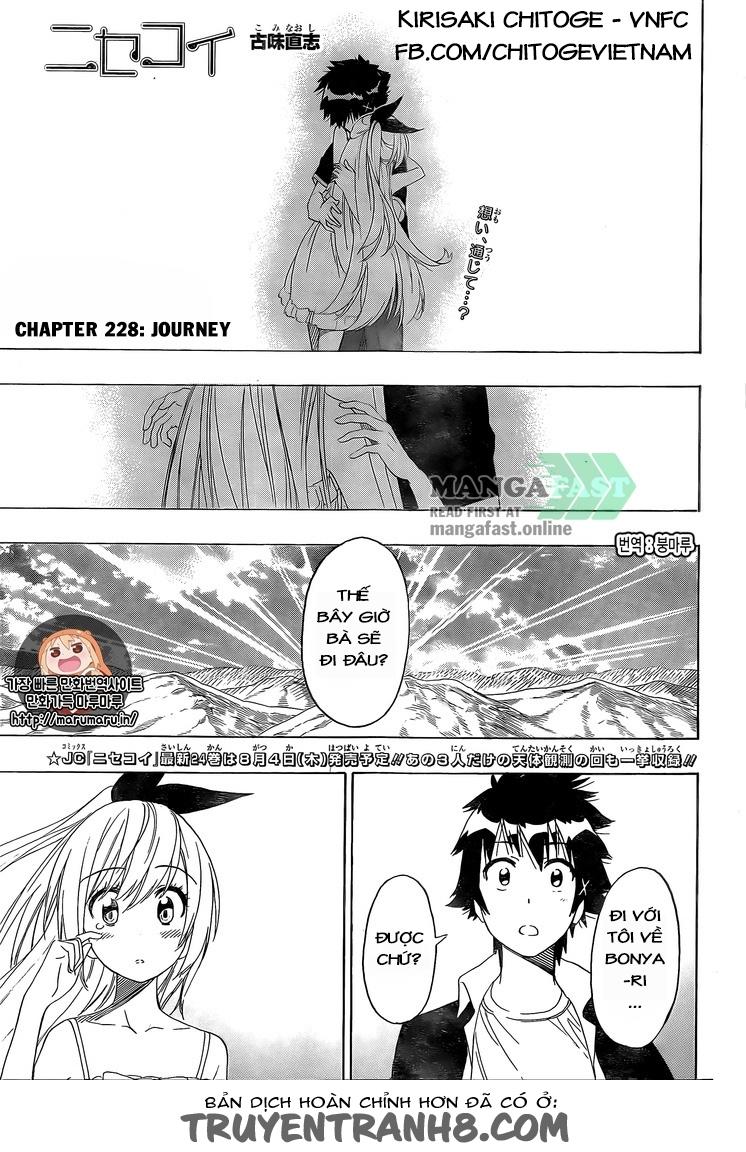 Chapter 228