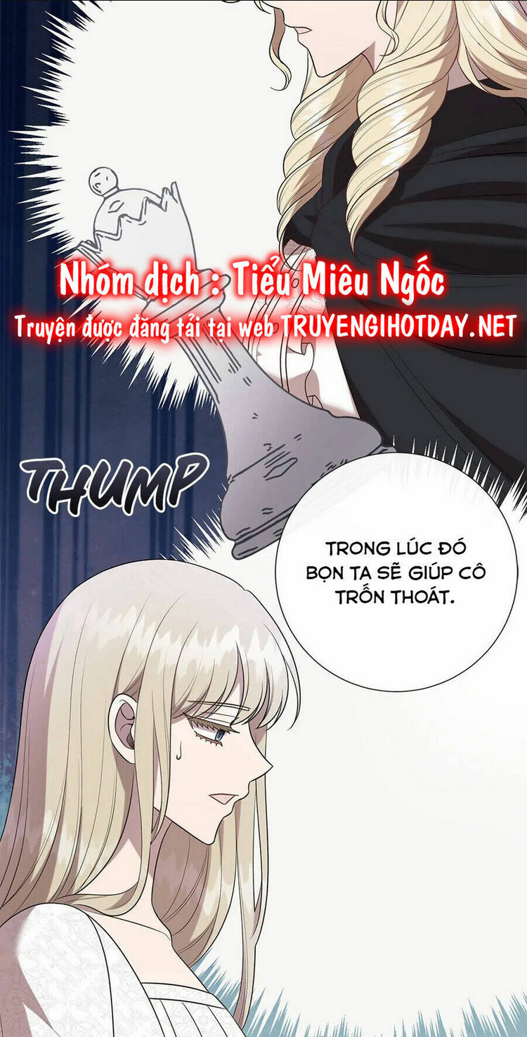 Chapter 104